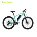 High Configuration Mountain Electric Bike with Lithium Power Bicycle